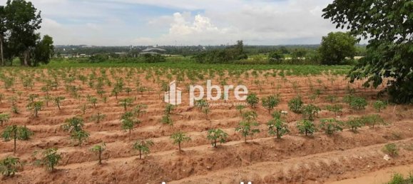  Commercial property in Bang Lamung, Thailand No. 16182 4