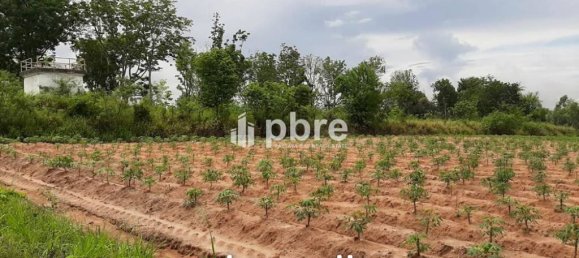  Commercial property in Bang Lamung, Thailand No. 16182 5