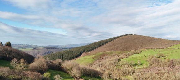 1 bedroom House in Asturias, Spain No. 165107 24