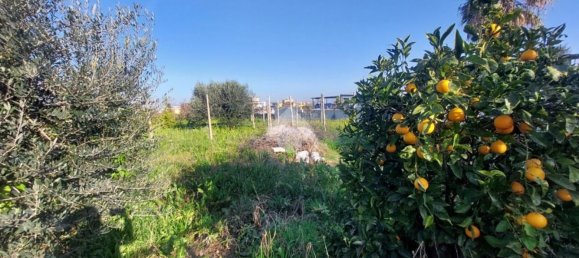 Grundstück in Marano di Napoli, Italy, Nr. 376798 9