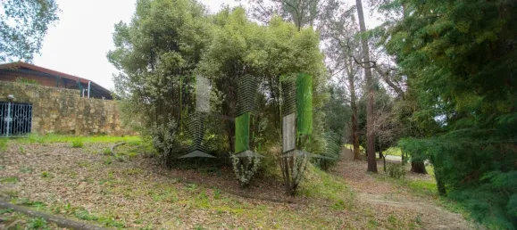 11 غرف نوم منزل في Oliveira de Azemeis, Portugal رقم 72022 28