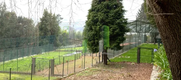 11 غرف نوم منزل في Oliveira de Azemeis, Portugal رقم 72022 4