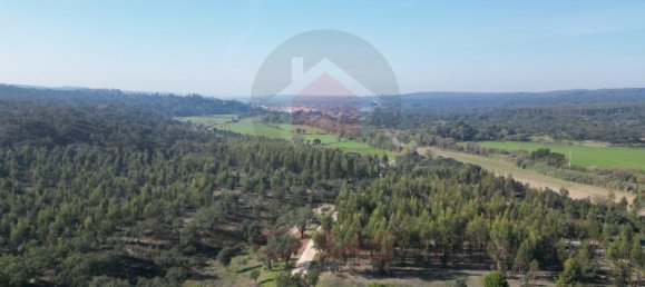 5 bedrooms Land in Almeirim, Portugal No. 144906 8