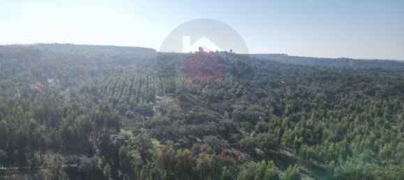 5 bedrooms Land in Almeirim, Portugal No. 144906 7