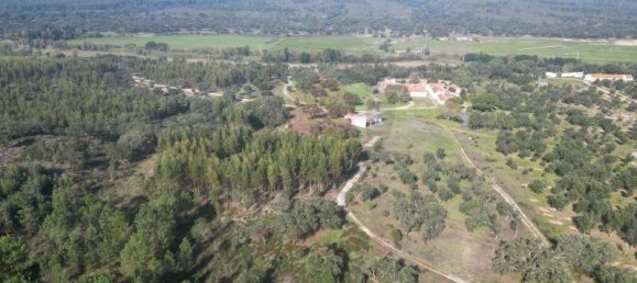 5 bedrooms Land in Almeirim, Portugal No. 144906 9