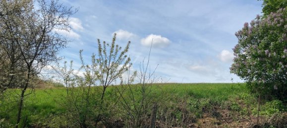Terreno en Hersfeld-Rotenburg, Germany No. 219071 4
