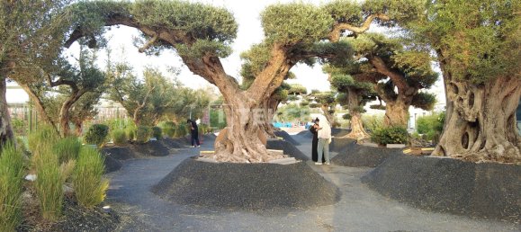 4 bedrooms Apartment in Meydan, UAE No. 18693 7