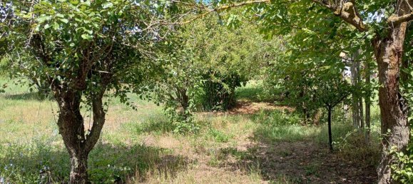 8 rooms House in Vernasca, Italy No. 285056 24