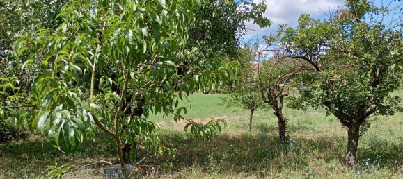 8 rooms House in Vernasca, Italy No. 285056 25