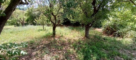 8 rooms House in Vernasca, Italy No. 285056 14