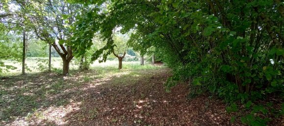 8 rooms House in Vernasca, Italy No. 285056 27