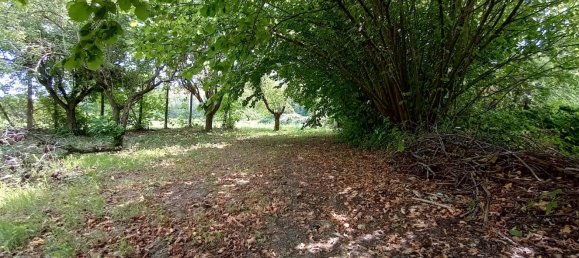 8 rooms House in Vernasca, Italy No. 285056 13