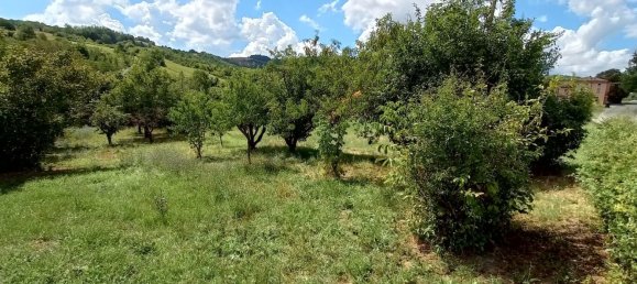 8 rooms House in Vernasca, Italy No. 285056 17