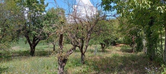 8 rooms House in Vernasca, Italy No. 285056 23