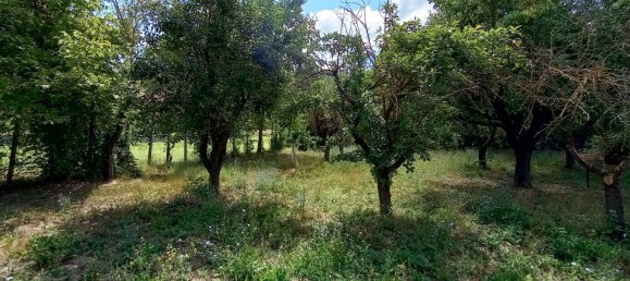 8 rooms House in Vernasca, Italy No. 285056 19