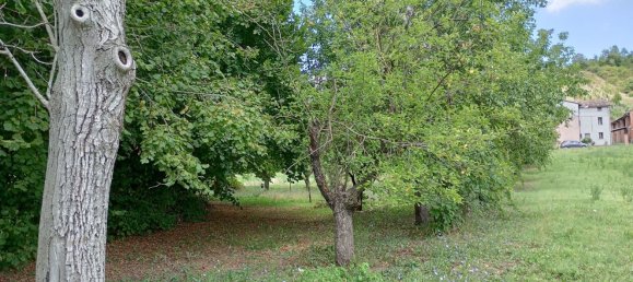 8 rooms House in Vernasca, Italy No. 285056 22