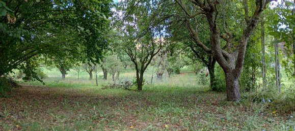 8 rooms House in Vernasca, Italy No. 285056 28