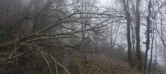 14490m² Land in Neviano degli Arduini, Italy No. 306484 4