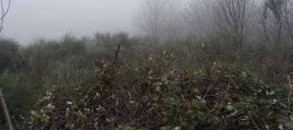 14490m² Land in Neviano degli Arduini, Italy No. 306484 20