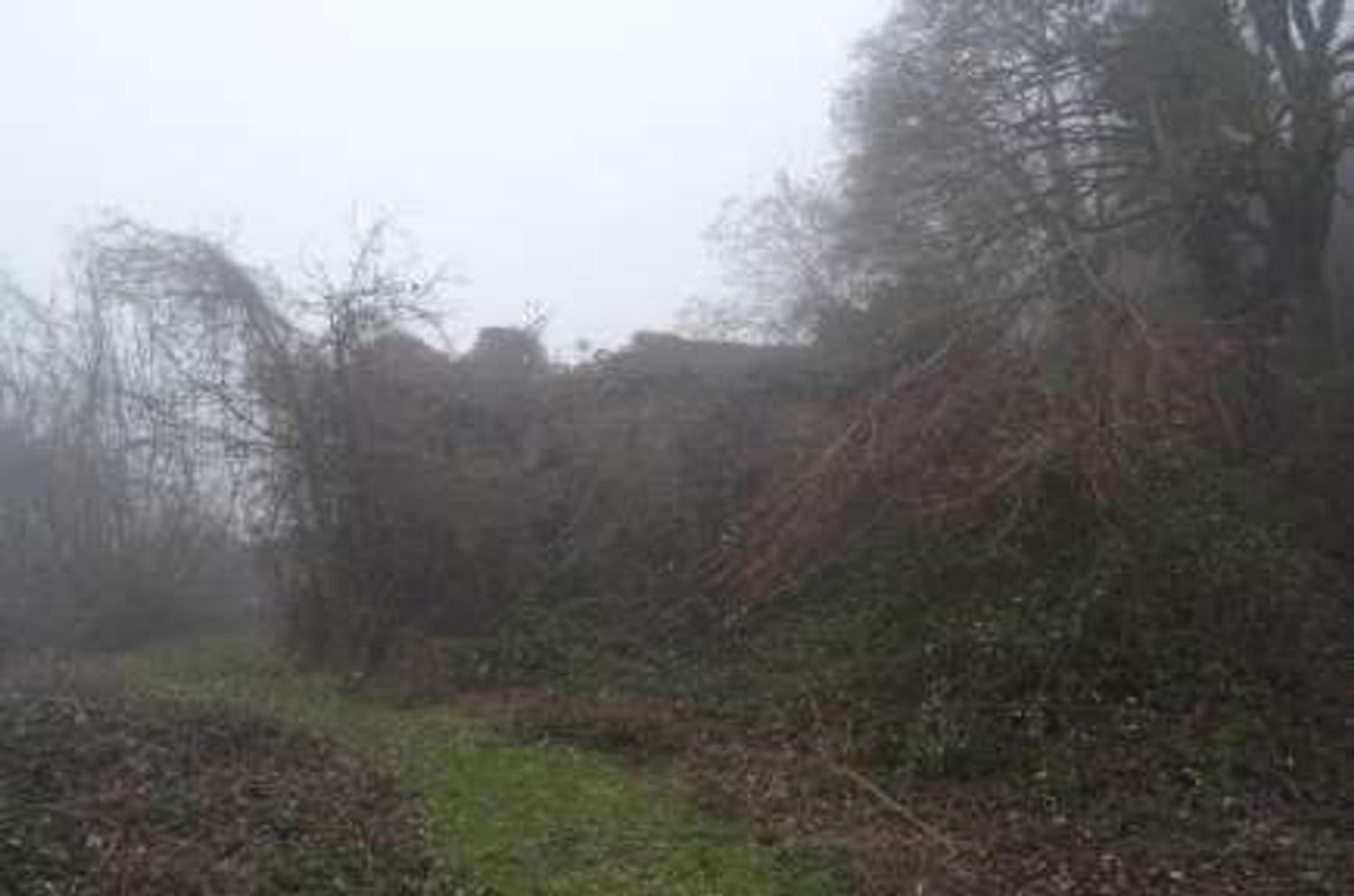 14490m² Land in Neviano degli Arduini, Italy No. 306484