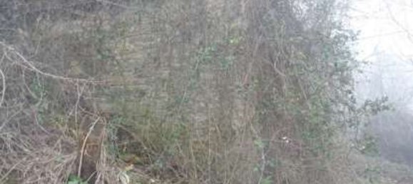 14490m² Land in Neviano degli Arduini, Italy No. 306484 17