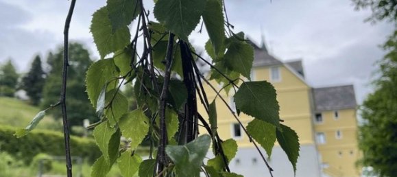 30غرفة فندق في Breisgau-Hochschwarzwald, Germany رقم 66660 3