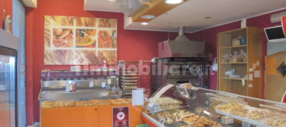 1 room Commercial property in Penna Sant'Andrea, Italy No. 262553 9