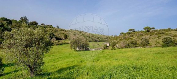 3 bedrooms House in Santiago do Cacem, Portugal No. 163134 6