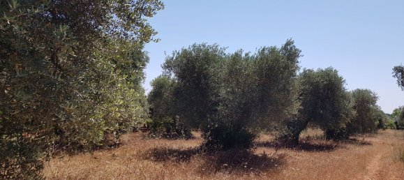 4غرفة منزل في Martina Franca, Italy رقم 72953 2