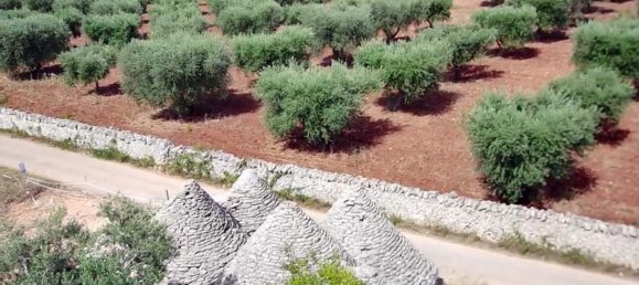 4غرفة منزل في Martina Franca, Italy رقم 72953 12