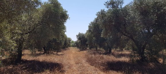 4غرفة منزل في Martina Franca, Italy رقم 72953 16