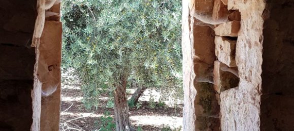 4غرفة منزل في Martina Franca, Italy رقم 72953 3