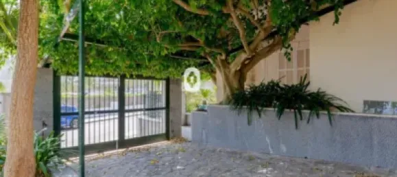 3 غرف نوم منزل في Santa Margalida, Spain رقم 143773 44