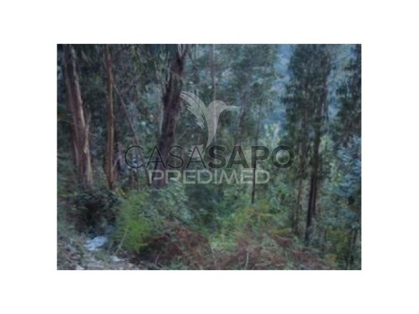  Land in Quarteira, Portugal No. 196614