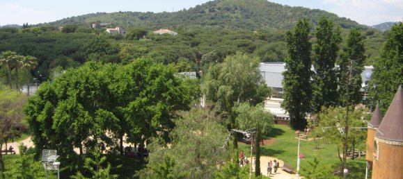 268m² Garage in Malgrat de Mar, Spain No. 63996 17