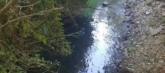 3 Schlafzimmer Wohnung in Raedersdorf, France, Nr. 97508 19