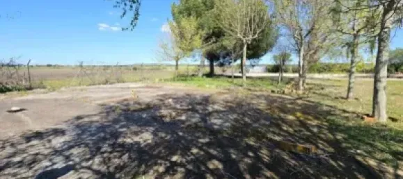 Terrain à Valdeolmos-Alalpardo, Spain 3808m² No. 139802 24