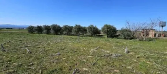 Terrain à Valdeolmos-Alalpardo, Spain 3808m² No. 139802 46