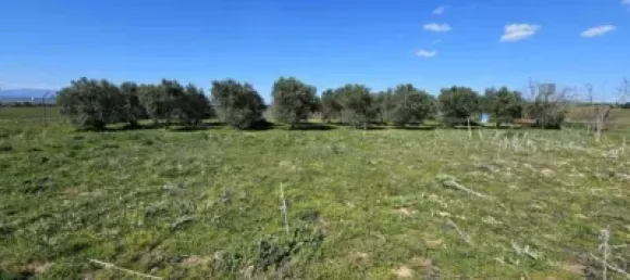 Terrain à Valdeolmos-Alalpardo, Spain 3808m² No. 139802 37