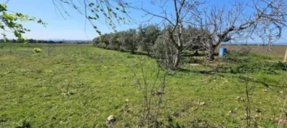 Terrain à Valdeolmos-Alalpardo, Spain 3808m² No. 139802 22