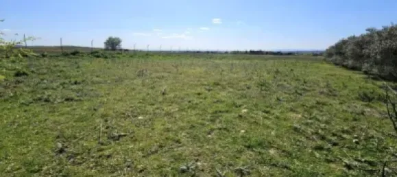 Terrain à Valdeolmos-Alalpardo, Spain 3808m² No. 139802 29