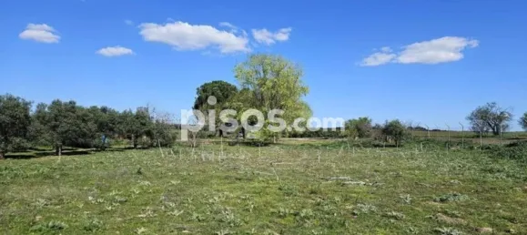 Terrain à Valdeolmos-Alalpardo, Spain 3808m² No. 139802 82
