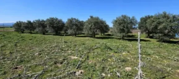 Terrain à Valdeolmos-Alalpardo, Spain 3808m² No. 139802 36