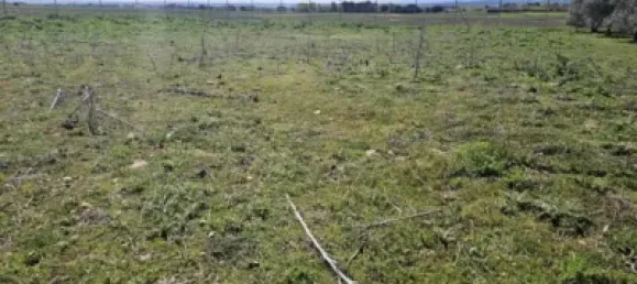 Terrain à Valdeolmos-Alalpardo, Spain 3808m² No. 139802 34