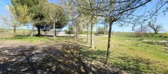 Terrain à Valdeolmos-Alalpardo, Spain 3808m² No. 139802 26