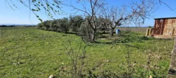 Terrain à Valdeolmos-Alalpardo, Spain 3808m² No. 139802 21