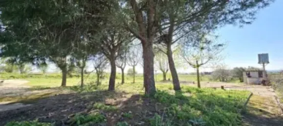 Terrain à Valdeolmos-Alalpardo, Spain 3808m² No. 139802 12