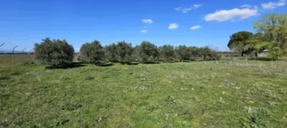 Terrain à Valdeolmos-Alalpardo, Spain 3808m² No. 139802 39