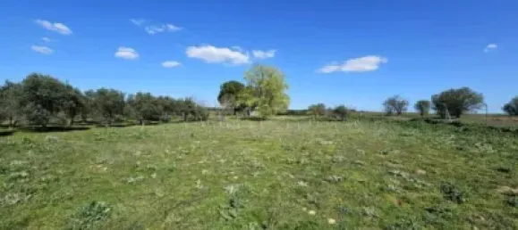 Terrain à Valdeolmos-Alalpardo, Spain 3808m² No. 139802 41
