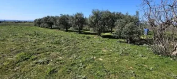 Terrain à Valdeolmos-Alalpardo, Spain 3808m² No. 139802 30